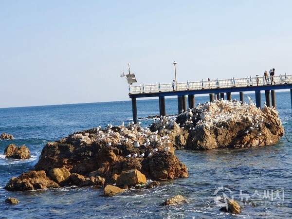 삼사해상산책로