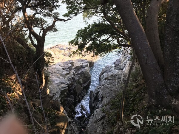 여수 오동도