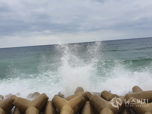 후포해변 방파제. 바람이 세고 파도가 높아 방파제의 TTP(테트라포트)에 파도가 부딪쳐 산산히 부서져 하늘 위로 솟구치며 휘날리고 있다.