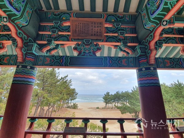 월송정에서 바라본 동해 바닷가