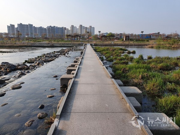 전천(箭川) 하천 돌다리. 전천 하천 돌다리를 건너면 영동선 ‘동해역’으로 걸어 갈 수 있는 길이 나온다.