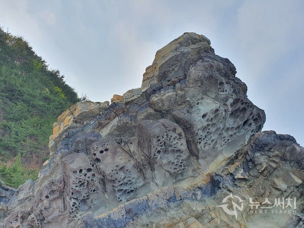 헌화로(獻花路) 도로가에 있는 구멍이 쑹쑹 뚫린 바위. 헌화로(獻花路)는 해안단구와 절벽으로 이루어진 지형과 바다를 바로 접한 곳에 조성한 도로라서 기암괴석과 신기한 바위들이 도로가에 산재해 있다.