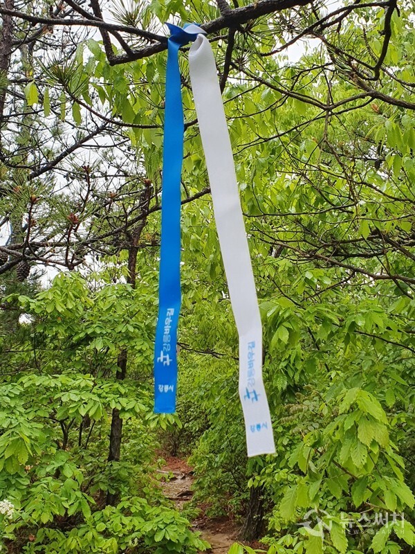 괘방산 등산로 강릉바우길 표식