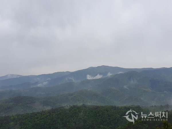 183봉에서 본 태백산맥 준령 모습. 비오는 날 산행을 하다보니 비 구름이 산 아래 군데군데 흩어져 있다.