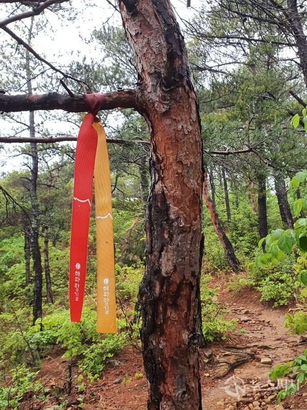 괘방산 등산로 해파랑길 표식