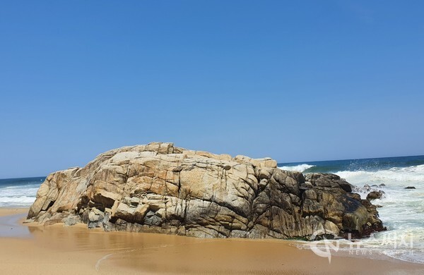 사근진해변 멍게바위