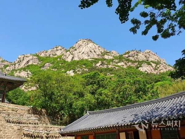 천황사에서 바라본 월출산 봉우리. 천황사 마당에서 법당 지붕 위로 멀리 월출산의 봉우리가 뚜렷이 조망된다.