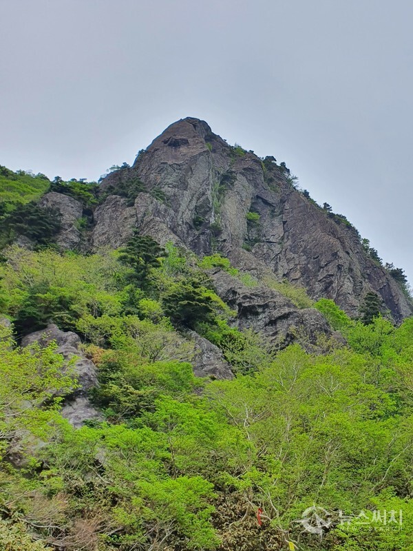 한라산 삼각봉. 삼각봉은 해발 1,700m 정도의 높이이며, 용진각 계곡에서 관음사로 내려가는 등산로 바로 옆에 있다. 다만, 낙석이 심하여 현재는 삼각봉에 올라가지는 못하고 그 바로 밑을 통과할 수 밖에 없어서 아쉽다.