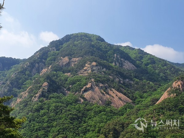 성봉(城峰) 능선에서 바라본 작성산(鵲城山). 성봉(城峰) 능선은 무암계곡 남측에 있는데 능선에 오르면 북측 작성산(鵲城山)이 손에 잡힐 듯이 보인다.