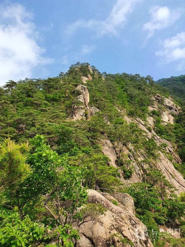 남근석에 바라본 성봉(城峰) 방향 암릉 능선길