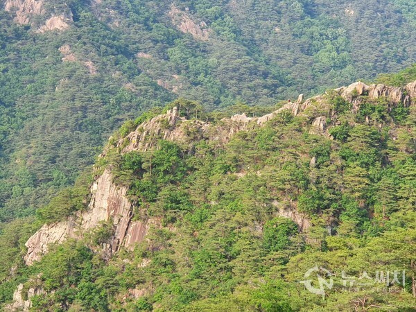 장군바위에서 바라본 남근석 바위능선. 무암사에서 성봉(城峰)으로 연결된 능선은 ‘남근석 능선’과 ‘장군바위 능선’이 있다. 장군바위에서 바라본 건너편 남근석 능선은 수많은 바위들이 팬플룻처럼 연결된 바위군으로 아름다운 풍경에 감탄을 자아내게 한다.