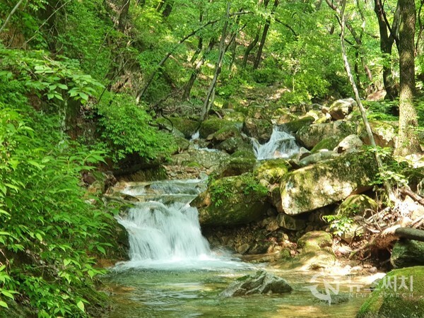 무암계곡. 무암계곡은 제천시 금성면 성내리 동산(東山)과 작성산(鵲城山) 등지에서 발원하는 무암천이 청풍호로 흐르면서 만든 계곡으로 천년고찰 무암사(霧巖寺)에서 이름이 연유된 것이며, ‘청풍8경(淸風八景)’ 중 하나이다. 