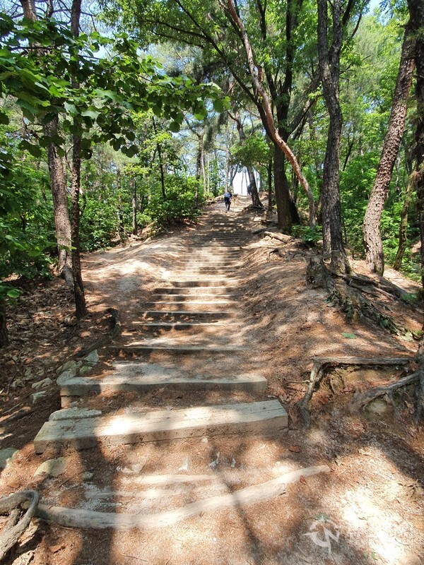 불암산 올라가는 능선길. 공릉동 원자력병원 앞에서 공릉산 백세문으로 접어들어 산길을 걷다보면 불암산 올라가는 능선길이 나온다. 녹색의 수목이 우거진 오르막 산길에는 폐철도침목으로 된 나무계단이 있어 운치가 있다. 