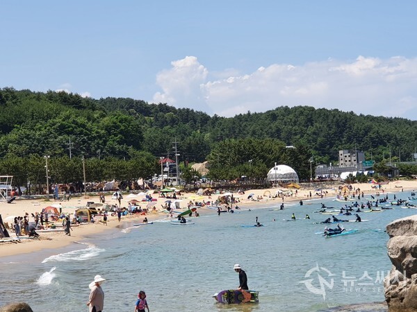 죽도정 입구 죽도해수욕장에는 서핑을 즐기는 서퍼들이 자주 찾는 곳이다. ‘양양’은 우리나라 서핑의 천국으로 알려져 있는데, 죽도해수욕장에도 많은 서퍼들이 서핑을 즐기고 있었다.