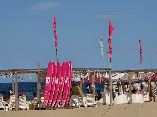서피비치(SURFYY BEACH). 하조대해변에서 북쪽으로 약 20여분 정도 걸으면 ‘중광정해수욕장’에 도착하게 되는데 중광정해수욕장에 유명한 '서피 비치(SURFYY BEACH)'가 설치되어있다. '서피(SURFYY)'는 서프(SURF) + 양양(YY)의 합성어로 한국 서핑의 메카 '양양'을 잘 표현하는 단어이다. 서피비치에서는 누구나 손쉽고 체계적으로 서핑을 배울 수 있는 프로그램을 갖추고 있을 뿐만 아니라 이국적인 시설로 인해 많은 서퍼들이 이곳의 매혹에 빠져들게 된다.