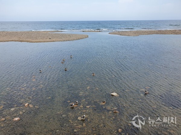 쌍천과 동해바다가 만나는 곳. ‘쌍천’은 설악산 대청봉에서 발원하여 북쪽으로 흐르다 동쪽으로 우회한 후 동해바다로 흐른다. 쌍천 남쪽은 양양군 강현면 물치리이며, 쌍천 북쪽이 속초시 대포동이다. 쌍천이 동해바다와 만나는 지점은 모래가 퇴적되어 있고 맑은 수질로 많은 물새들이 서식하는 곳으로 유명하다.
