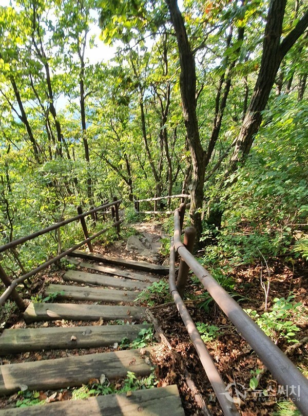 10. 향로봉삼거리에서 행구동으로 하산길. 향로봉삼거리에서 보문사를 지나 행구탐방지원센터로 하산하는 길은 숲과 나무로 우거져 적지 않은 산꾼들이 애용하는 치악산 하산코스 중 하나이다.