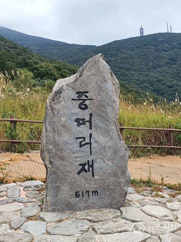 중봉에서 30여분 정도 급경사의 내리막길을 걸어 내려가면 ‘중머리재’(해발 617m)에 도착하게 된다. 중봉에서 중머리재까지는 거리상으로는 1km이지만 중봉 높이가 해발 915m인데 중머리재 높이가 해발 617m로 표고차가 300m 이다. 중봉에서 중머리재 내려오는 길은 이 높이를 30여분 정도에 내려오는 산행길이라서 생각보다 경사가 심하다. ‘중머리재’는 새인봉, 용추폭포, 증심사 가는 길이 나뉘는 갈림길이기도 하다.