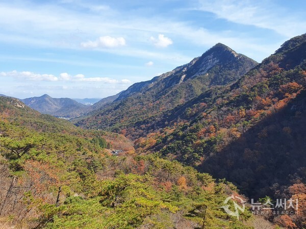 계룡산 가을단풍. 계룡산의 가을은 산봉우리와 노란 갈색의 활엽수, 녹색의 침엽수가 어우러져 아름다운 한 폭의 그림을 선보인다.