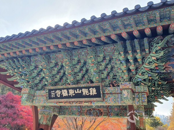 동학사 일주문. 계룡산 동학사는 갑사, 신원사와 더불어 계룡산을 대표하는 사찰이다. 동학사는 조계종 6교구 본사인 마곡사의 말사이며, 동학사 강원은 청도 운문사 강원과 함께 우리나라의 대표적인 비구니 강원 중 하나이다.