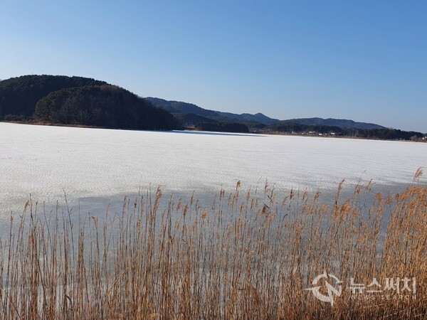 화진포 호수. ‘화진포 호수’는 우리나라에서 가장 큰 석호(潟湖)로 바닷물과 민물이 교차하여 다양한 생태계의 보고로 기능하고 있다. 화진포 호수는 남쪽과 북쪽에 8자형을 그리면서 북호로 남호로 나뉘어 있는데, 바다로 연결되는 북호의 해안가에 화진포해수욕장이 있다. 화진포 호수는 호수 면적이 2.3㎢이며, 호수 주변은 약 16km 정도이다. 호수 주변에는 울창한 송림이 병풍처럼 둘러싸여 있어 경관이 아름답기로 유명하다.