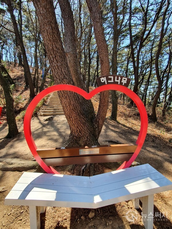 암남공원 허그나무 쉼터. 암남공원 해안 산길에는 포구나무 쉼터, 기억나무 등 여러 시설과 쉼터가 만들어져 있다. 그 중의 하나가 ‘허그나무 쉼터’인데, 사랑을 나타내는 빨간색 하트 모양을 컨셉으로 하여 벤치 등이 설치되어 있어, 암남공원을 산책하는 사람들에게 편안한 휴식장소를 제공하고 있다.