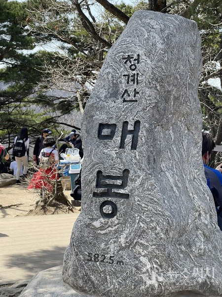▲청계산 매봉 표지석