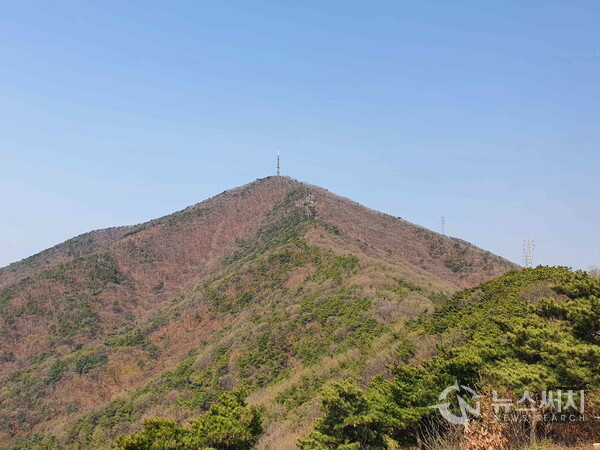 하느재 고개에서 바라본 계양산 정상 봉우리. 계양산성 탐방로에서 계양산으로 가는 중간에 ‘하느재 고개’가 있다. 하느재 고개에 오르면 눈앞에 계양산 정상 봉우리가 뚜렷하게 보인다. 초봄 계양산에는 진달래의 분홍색과 나뭇잎의 녹색이 어우려져 향연을 펼치고 있다.