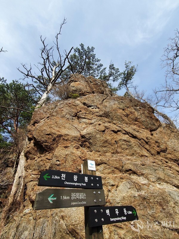 윗 소지봉과 이정표. 백무동에서 장터목대피소까지 거리는 약 6km 정도이다. 이 코스는 다른 지리산 산행코스에 비하여 거리는 상대적으로 짧은 편에 속하지만 경사가 상당히 급하여 힘든 코스 중 하나로 꼽힌다. 백무동에서 장터목대피소 가는 코스 중 약 4분의 3 정도 지난 곳에 ‘윗 소지봉’이 있다. 백무동에서 윗 소지봉까지 거리는 4.3km이고, 윗 소지봉에서 장터목대피소까지 거리는 1.5km이다.