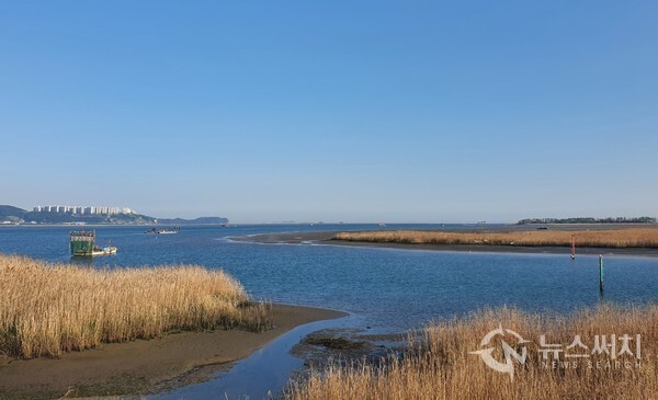 낙동강 하구 명지갯벌. 낙동강 하구 명지동 해안가에는 드넓은 갯벌이 펼쳐져 있다. 이 명지갯벌에는 조개류 등 어족자원이 풍부하여 철새들이 많이 찾는다. 그러나 최근 명지동 일대에 무분별한 개발로 갯벌생태계가 조금씩 파괴되어 가는 점이 아쉽다.