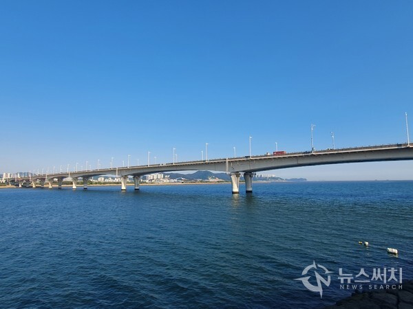 을숙도대교. 을숙도를 관통하는 다리는 북쪽에 낙동강하굿둑이 있고 남쪽에 을숙도대교가 있다. ‘을숙도대교’는 부산 강서구 명지동과 사하구 신평동을 잇는 길이 약 2km의 유료교량으로 2009년에 개통되었다. 을숙도대교는 곡선교량인데, 본래는 직선교량으로 건설하려고 했으나 한때 동양 최대의 철새도래지였던 을숙도를 관통하는 교량이었기에 건축 당시 환경단체들의 반발을 감안하여 철새보호지를 우회하는 방향으로 설계가 변경되어 곡선 교량이 되었다.