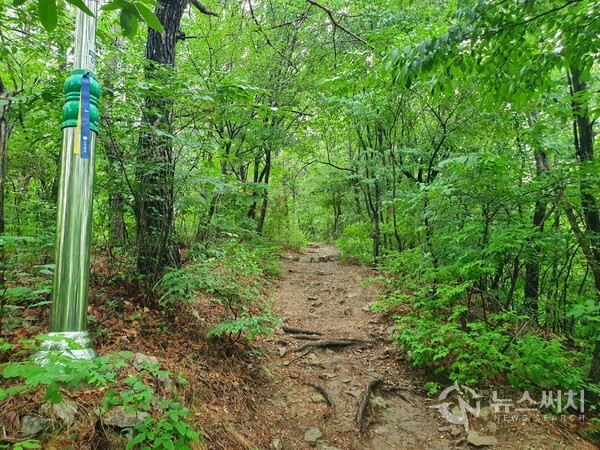 청량산 가는 산길. 남파랑길 10코스는 마산항 입구에서 시작하여 해운동, 월영동 아파트 단지를 지나 청량산 임도로 연결된다. 월영동 고운초교 건너편에 청량산 임도로 올라가는 산길로 이어지는 나무데크 계단길이 있다. 나무데크 계단을 올라가면 청량산 가는 산길이 나오며 산길을 지나면 청량산 숲길 임도로 연결된다.