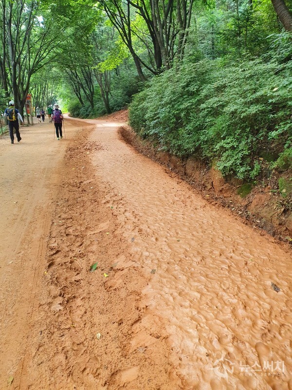 계족산 황톳길과 일반 산책로. ‘계족산 황톳길’은 계족산 임도에 2006년부터 대전 지역소주회사에서 황토 2만톤을 투입하여 맨발로 걸을 수 있는 황토산책길을 조성한 것으로 총 길이가 14.5km에 달한다. 계족산 임도 좌측에 신발을 신고 걷는 일반산책로와 임도 우측에 신발을 벗고 맨발로 걸을 수 있는 황톳길로 구분되어 있다.