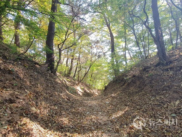 무돌길 제2길 도중에 있는 지릿재. 무돌길 제2길 광주 북구 석곡동 ‘등촌마을’과 금곡동 ‘배재마을’ 가운데에는 옛날 사람들이 복조리를 만들기 위한 조릿대를 채취하기 위해 넘나들던 ‘지릿재’ 고개가 있는데, 이곳을 걸어 넘노라면 옛 사람들의 흔적을 온몸으로 느낄 수 있다. 