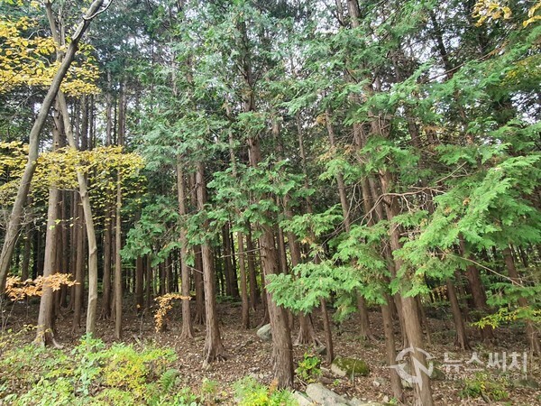 만연산지구산림공원. 수만리 서쪽에 만연산이 자리잡고 있으며 만연산 기슭에 산림공원이 조성되어 있다. 만연산지구산림공원에는 편백나무, 단풍나무 등 다양한 나무들이 조림되어 있으며, 생태탐방을 위한 나무데크길 등도 설치되어 있어서 산책을 즐기기에는 최적의 장소이다. 