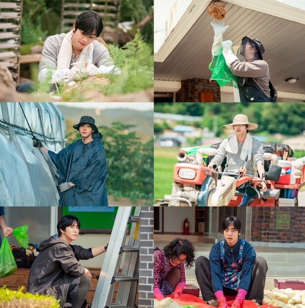 [SBS 오늘도 매진했습니다] 안효섭...