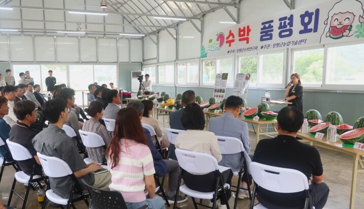 양평 수박 신품종