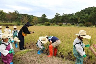 thumbimg